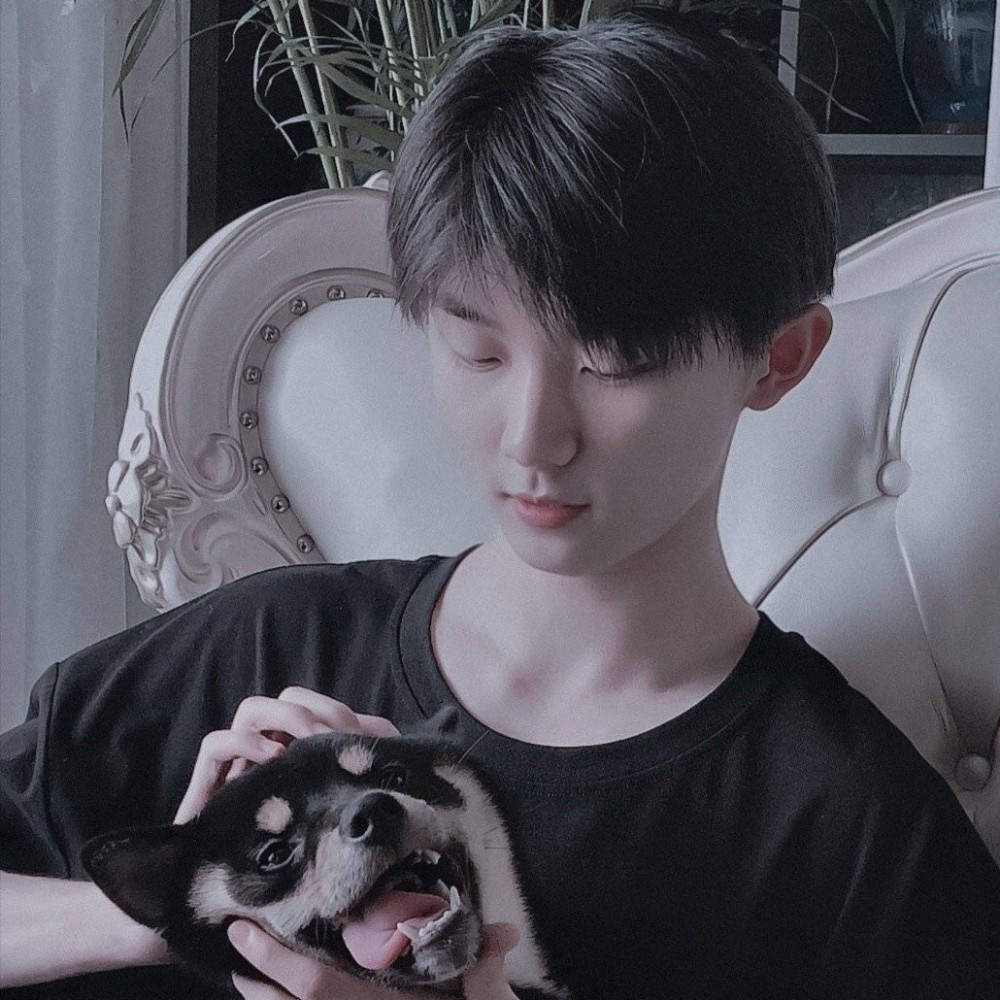 第四期明星头像tnt时代少年团马嘉祺