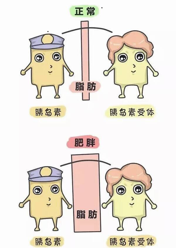 胰岛素抵抗怎么办