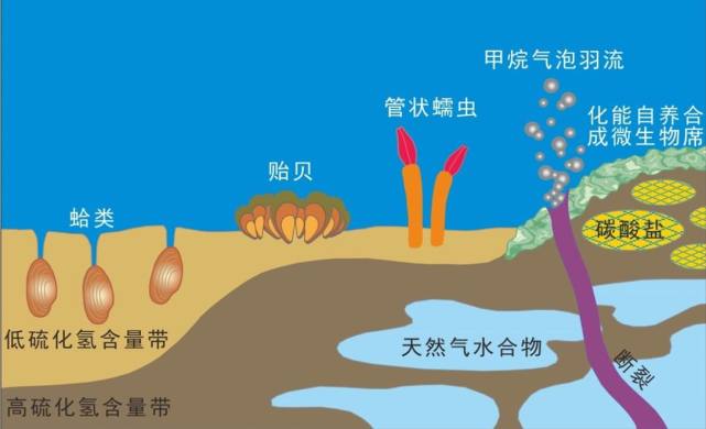 中國地質調查局在珠江口盆地的東部海域搜尋到了可能存在可燃冰的目標