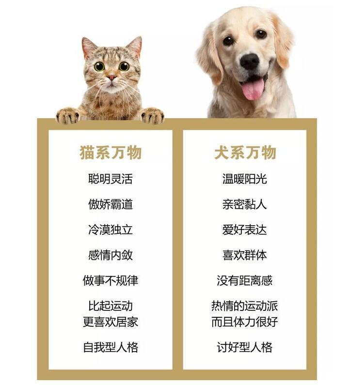 猫系女子vs犬系女子 你更喜哪一种 动漫猫系受欢迎 现实却相反 腾讯新闻