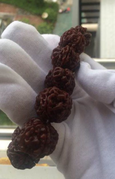 原来金刚菩提也有这么多造假?_腾讯新闻