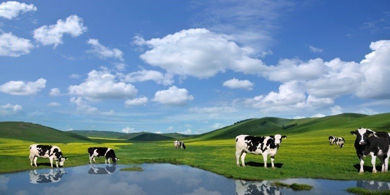 肖战与蒙牛乳业强强联合伴你追梦向前越来越牛