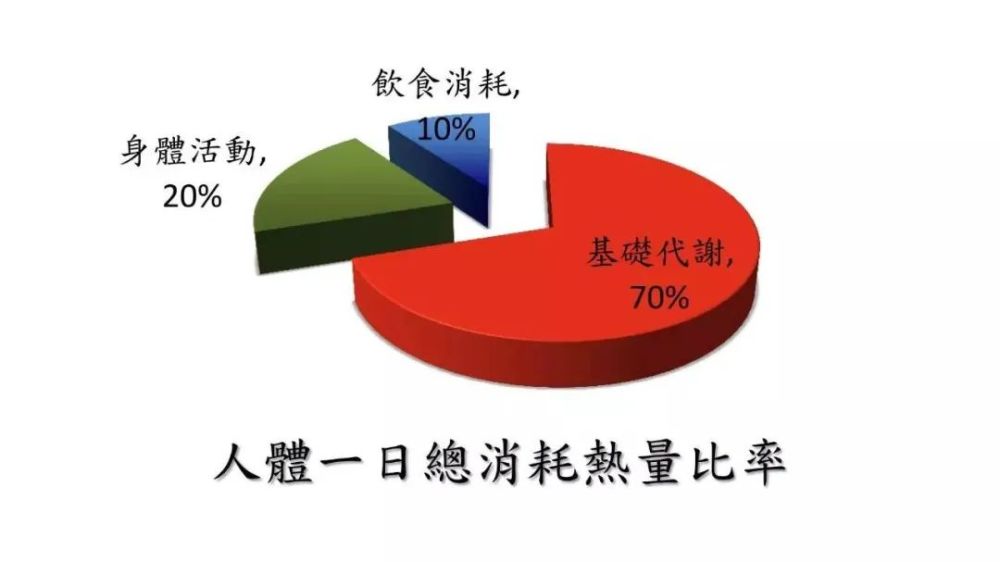 不懂基础代谢怪不得减肥没效果