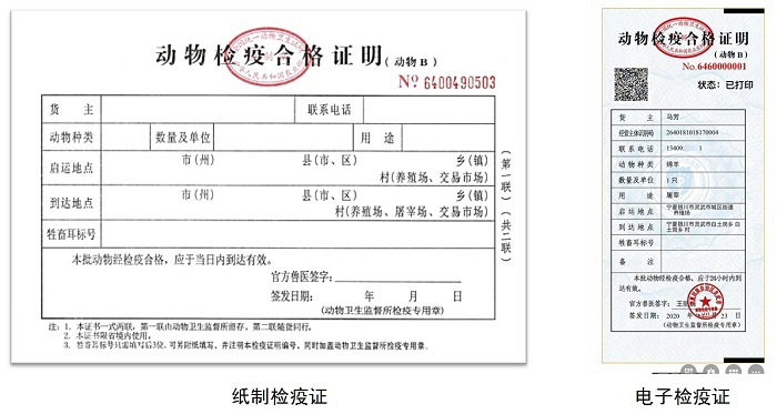 宁夏首张动物检疫合格证明动物b电子证诞生