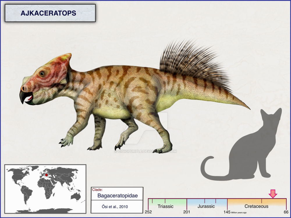 最近的是屬於弱角龍科的弱角龍(bagaceratops)和巨嘴龍(magnirostris)