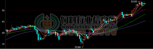 拜登中美贸易态度、南美天气变化是决定美豆、豆粕现货走势的关键图2