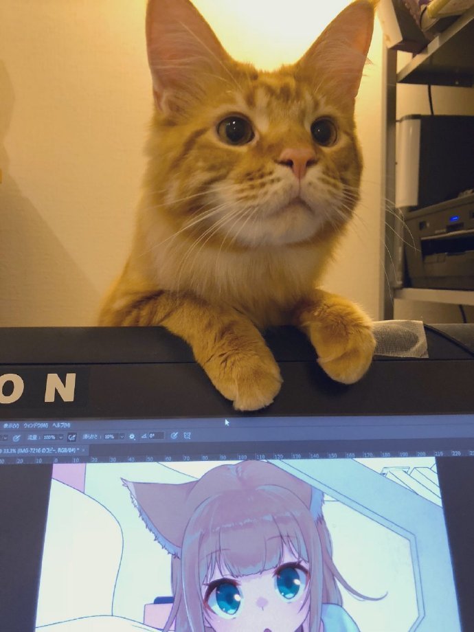 猫咪变萌娘画师出新作原型真的是美女猫快给我变成真