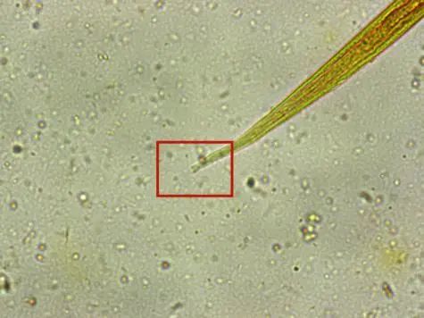 迟到的真相,曲折的背后令人深思!