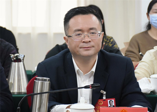 岳阳两会中的汨罗声音三书记市长为汨罗站台