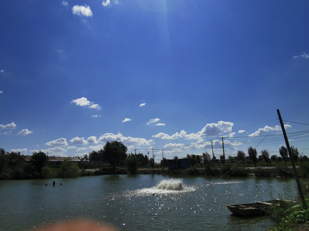 这就是农村的夏天你们羡慕吗