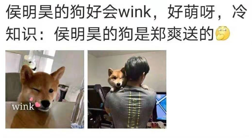 而网友发现和郑爽关系比较好的要属侯明昊了!毕竟郑爽还把狗送给男方.
