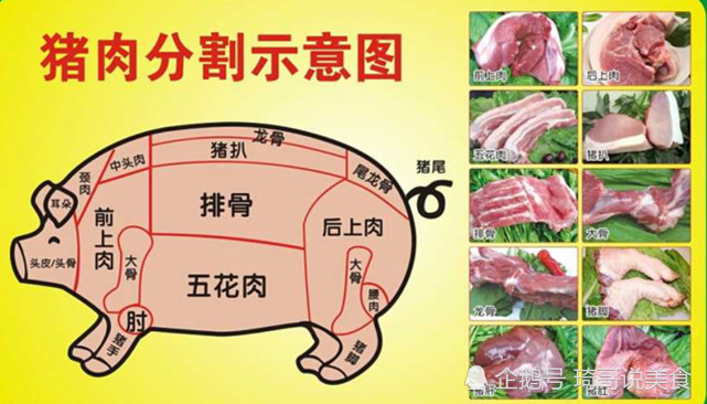 不同部位做不同的菜,看完过年用得上|猪肉|里脊肉|排骨|肉质|瘦肉