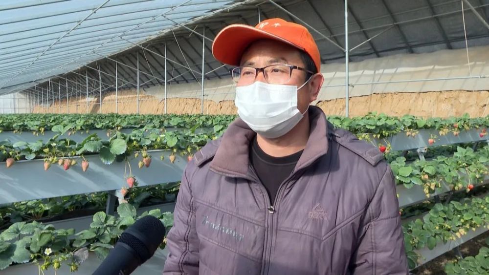 毛驴车农业开发有限公司副总经理  赵树明