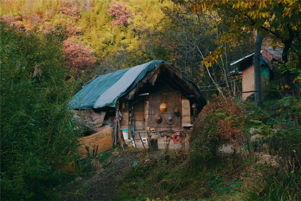 26歲小夥避世隱居終南山,父親一腳踹了過去:沒錢別學陶淵明