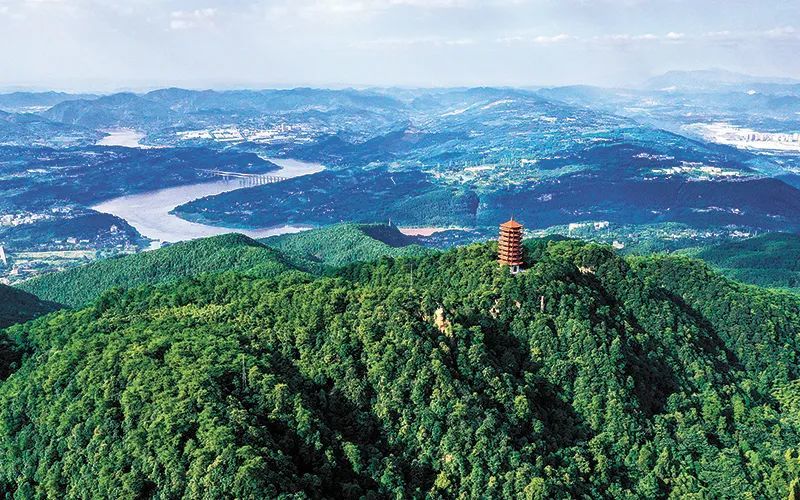 重庆中梁山林长制试点区生态面貌一新