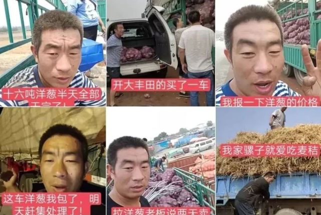 河北沧州开卡车的宝哥靠什么吸引几百万粉丝