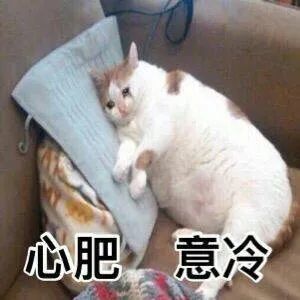 当年拼命拿下的一些地产项目现在为啥干不下去了