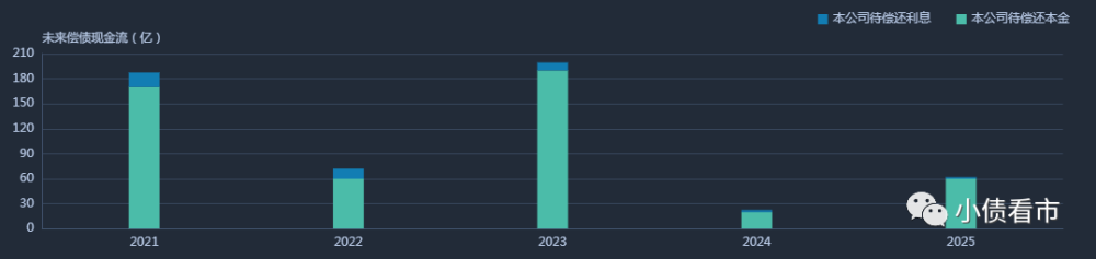 海淀国资2200亿债务压顶 今年将迎来偿债高峰(图3)