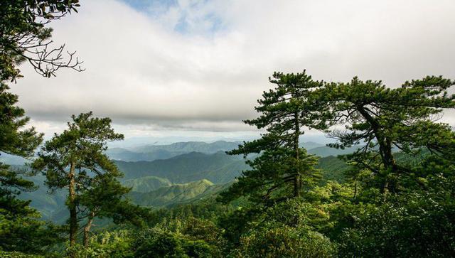 此地屬於羅霄山脈中段,地形多以山區為主,人口密度要低於其他地區