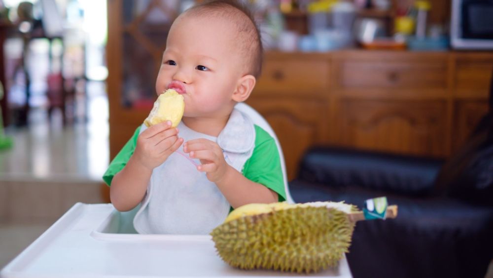 榴莲|榴莲控必看！榴莲的冷知识和热知识全在这里了！