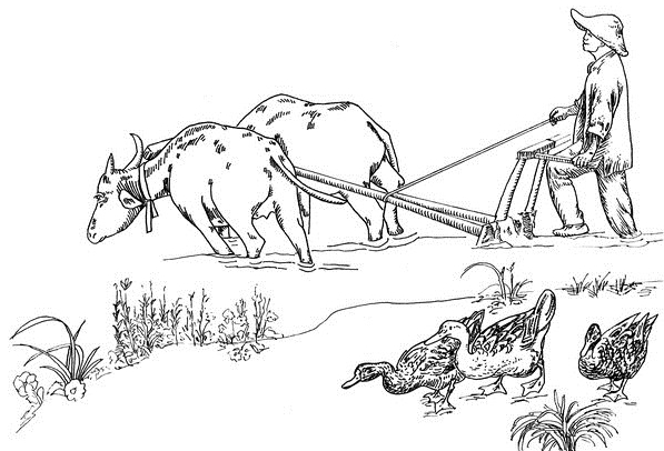 都江堰民间传说丨马家河心的金鸭子