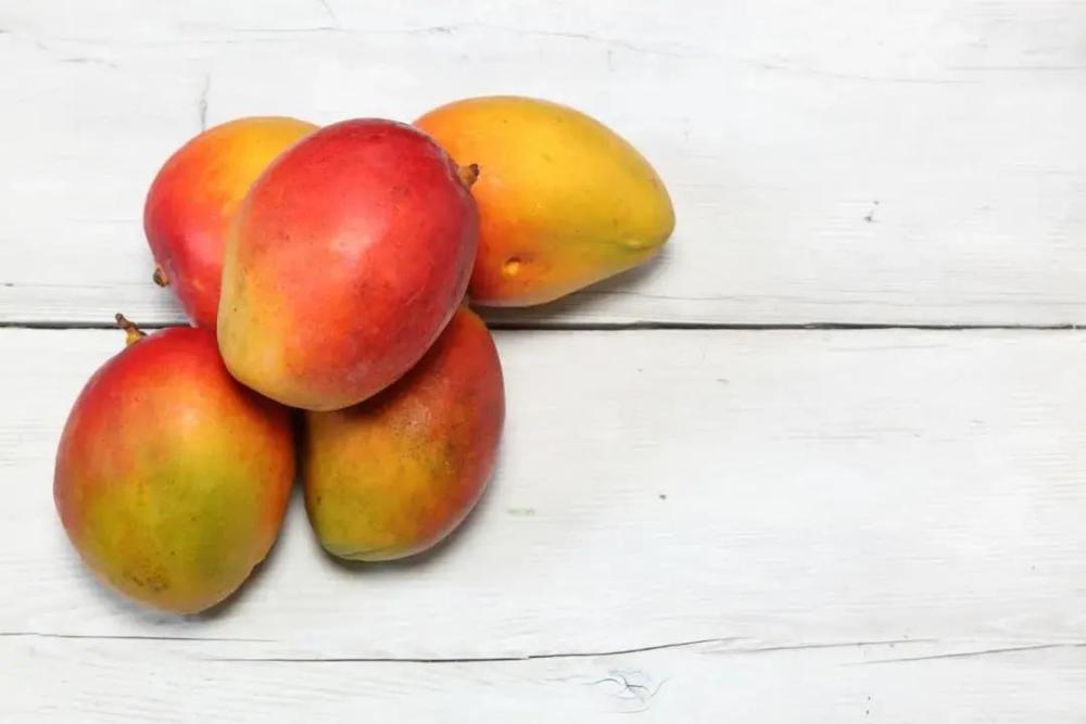 省芒果发展优势种质资源优势我国有5个芒果属的种,包括泰国芒,扁桃芒