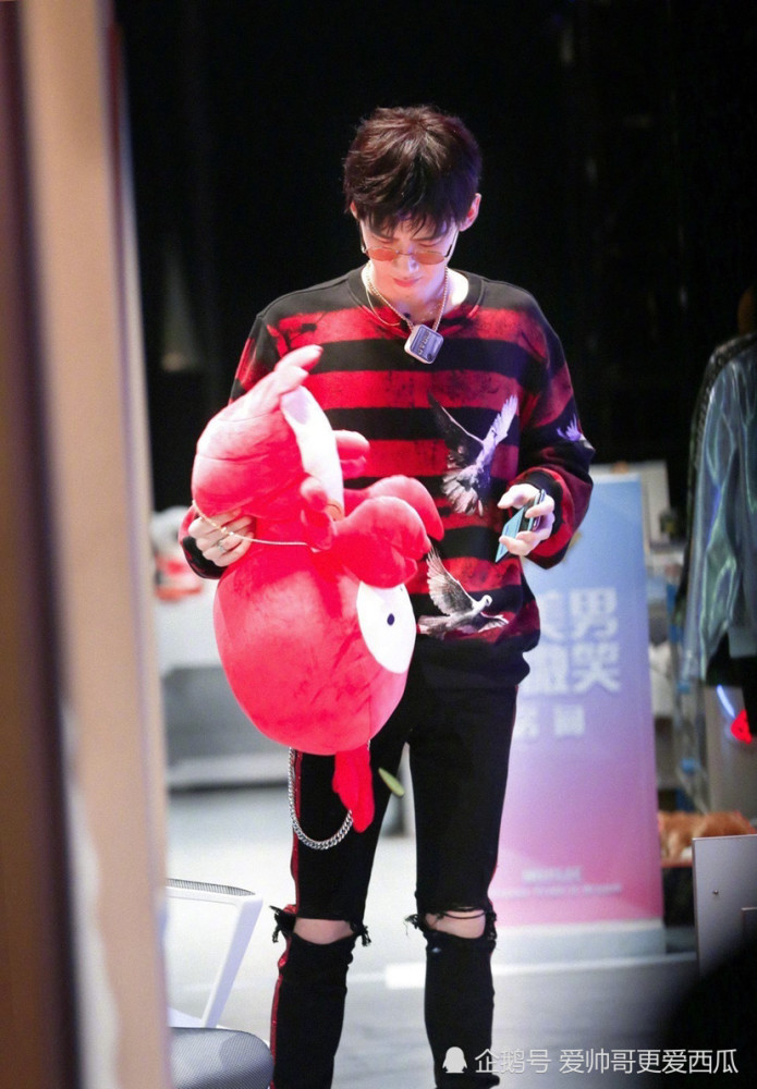 把白鸽穿在身上的白敬亭宠粉满满