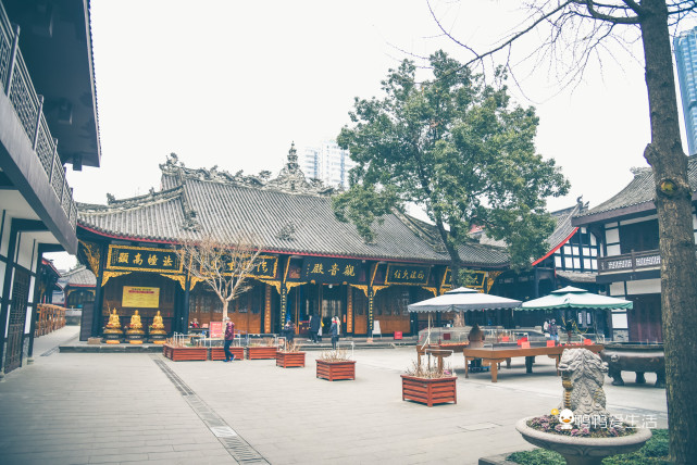 成都闹市区中的千年古寺,唐玄奘曾在此受戒,与太古里仅一墙之隔
