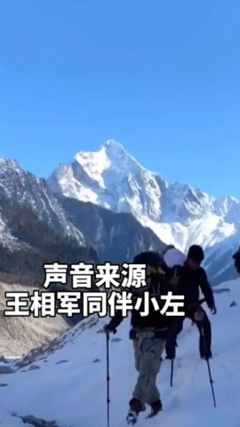 王相军同伴小左回应当时有五个人四条狗在一起