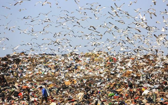 印度垃圾堆成山,高度65米直逼泰姬陵,当地人戏称"珠穆朗玛峰"_腾讯