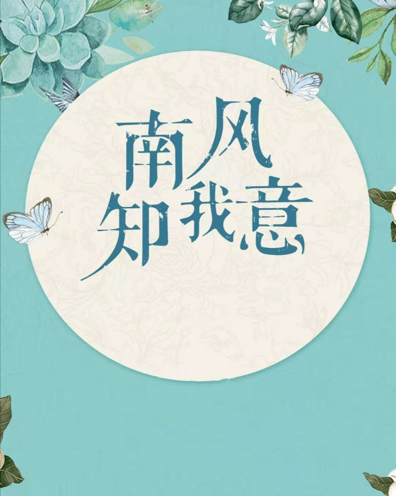 南风知我意超长预告曝光成毅x张予曦cp太甜了吧