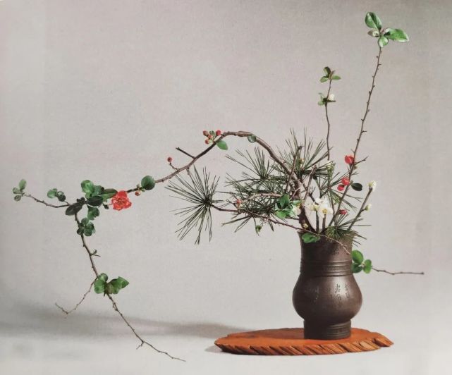 松竹梅 插新年之花 立花 白梅 贝原益轩 日本 松竹梅 梅花