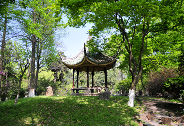 最新中国大学排名_2020中国大学排行榜100强(最新)(2)