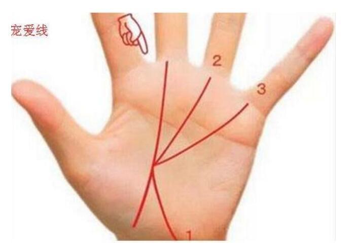 你手上有宠爱线么快来看一看