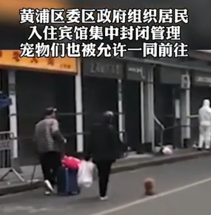 上海宠物航空箱