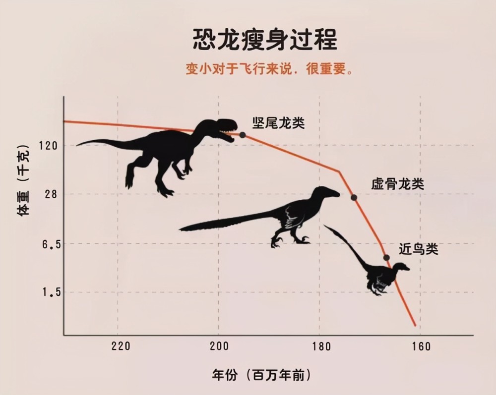 先有鸡还是先有蛋呢?