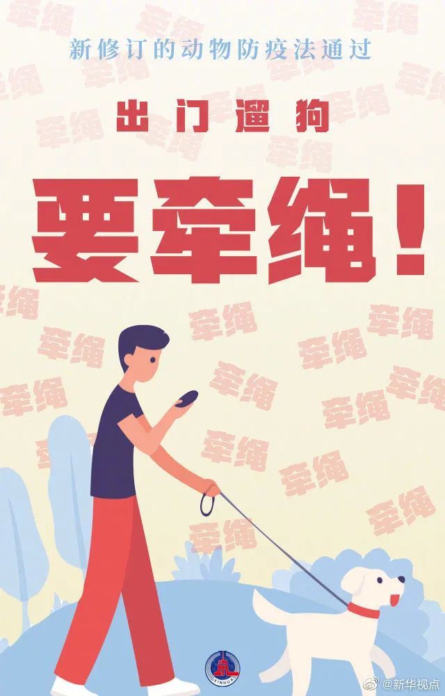 北京养狗的朋友们注意了新规发布遛狗不拴绳违法