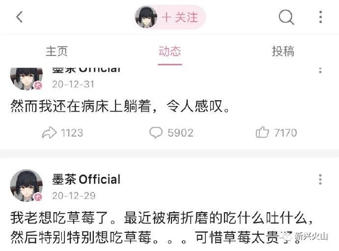 生前无名死后走红没人看的up主墨茶official去世引关