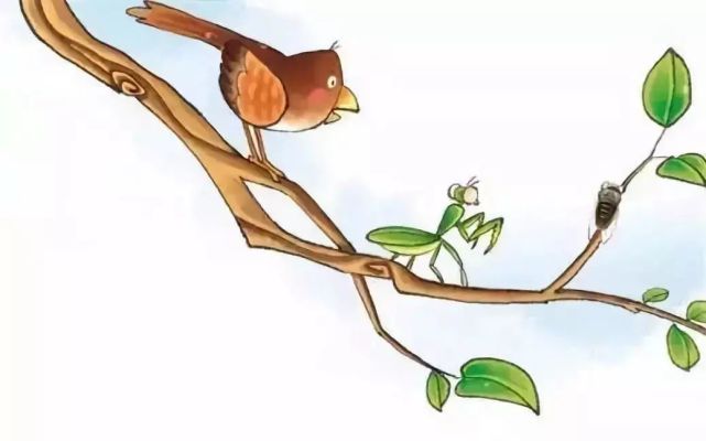 小学生必背文言文25螳螂捕蝉