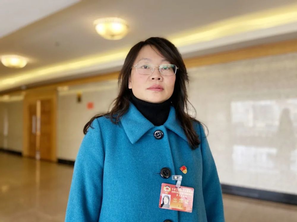 政协委员好声音王慧进一步优化行政审批流程提高办事效率