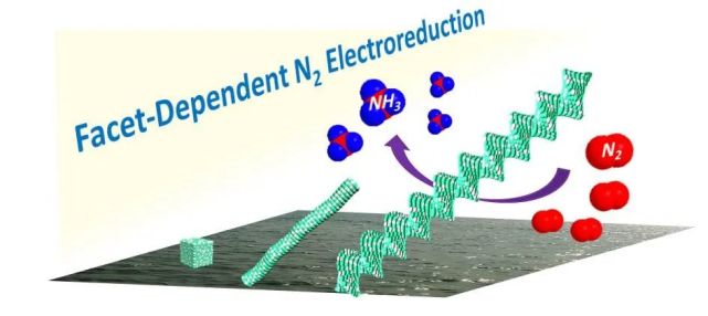 催化劑表面結構對電催化固氮的影響|黃小青團隊nsr