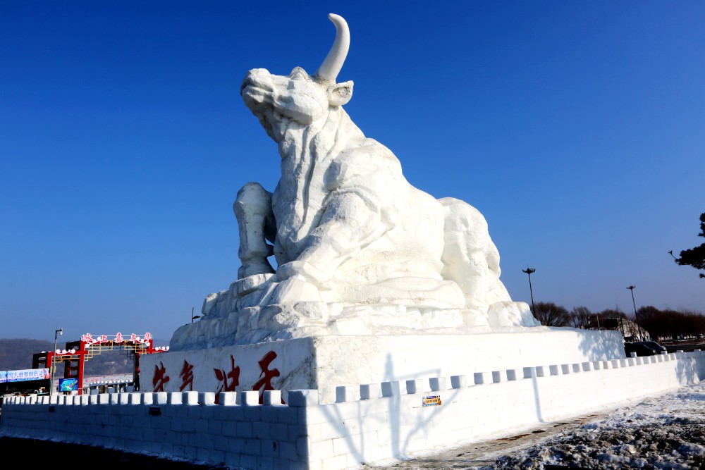 高大的牛气冲天雪雕亮相沈阳