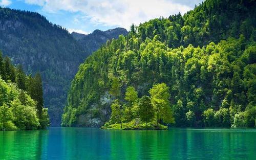 牛气冲天这4个生肖牛年要发达事业飞黄腾达金银满仓