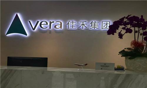 除了赵苗苗之外,弘大金控ceo陈骁航也是张振新的美女高管,出生于1986