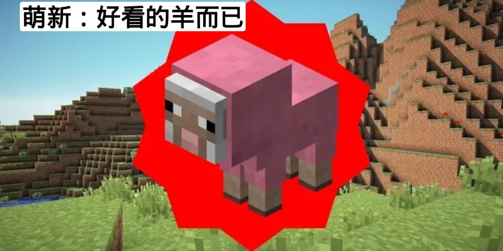 我的世界不同玩家眼中的粉红羊是什么样云玩家没用的羊毛