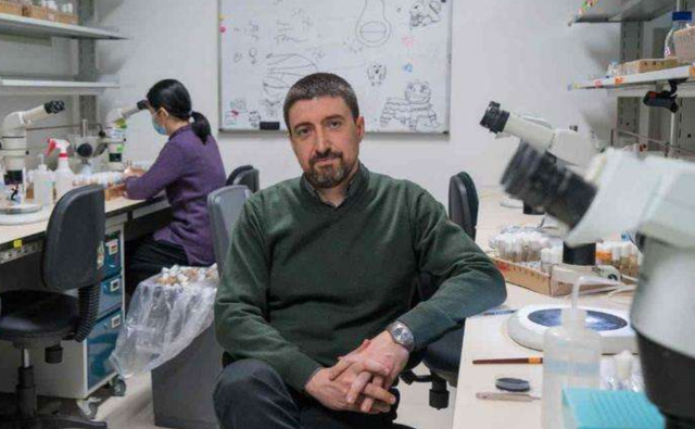 中国,带来千亿项目惠及全世界|美国_军事|美国国防部|戴维·布拉迪