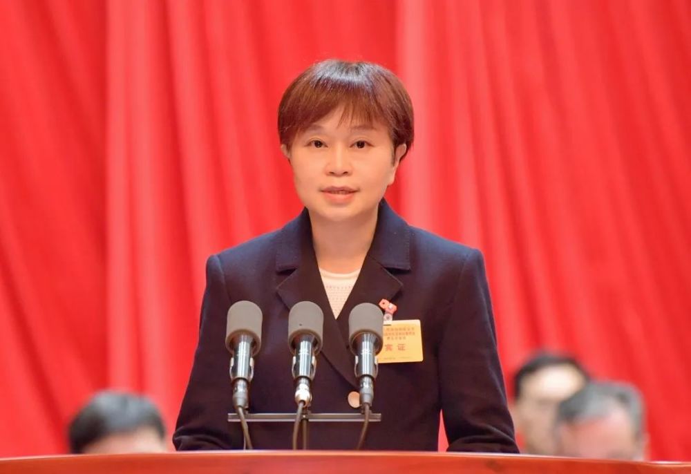 会上,区委常委,区政府常务副区长张纳沙代表区政府作区政协一届四次