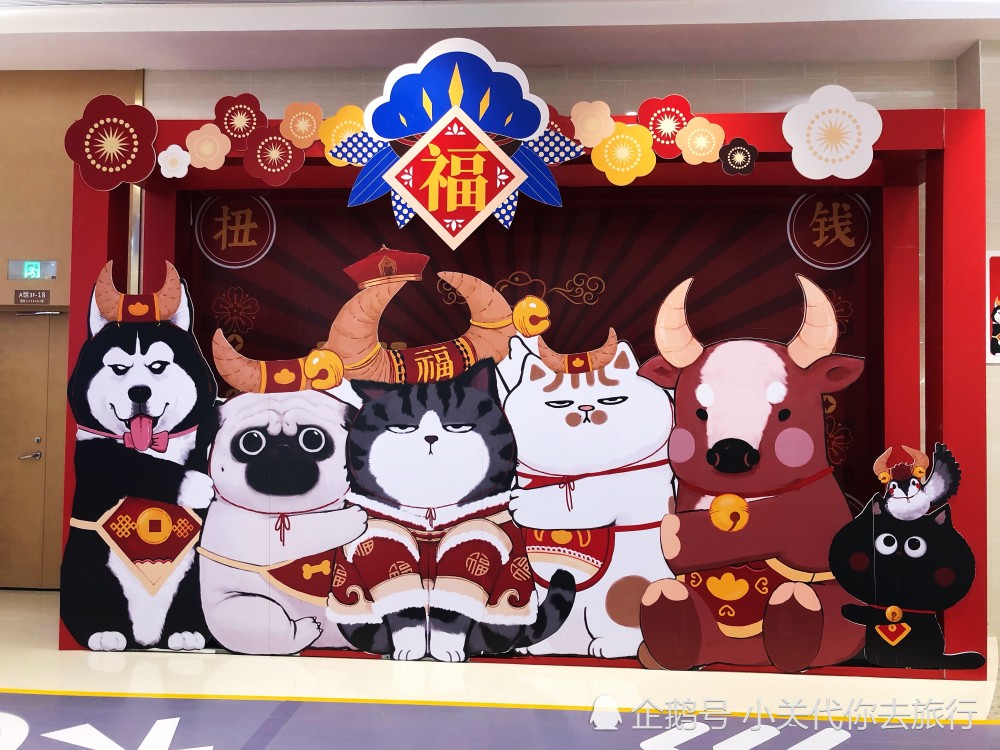 在其他楼层也有一些不同的场景,比如这个展示板应该是吾皇的全家福了