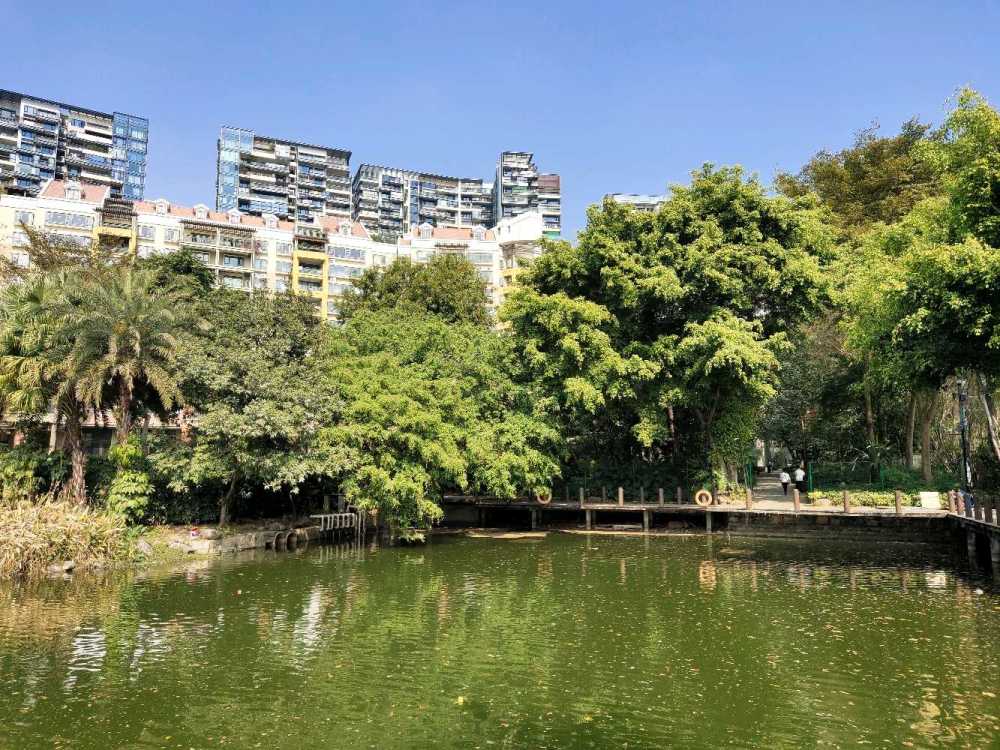 深圳南山区藏着一片静湖华侨城纯水岸