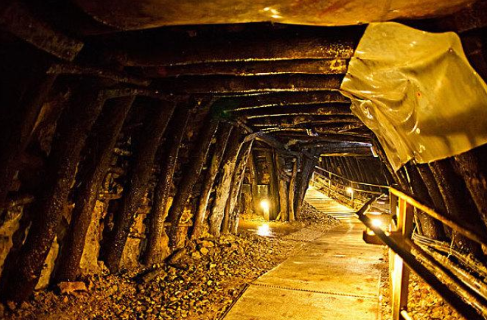 九米厚的煤层是多高的树木变成的?中国是最大的煤炭进口国?_腾讯新闻